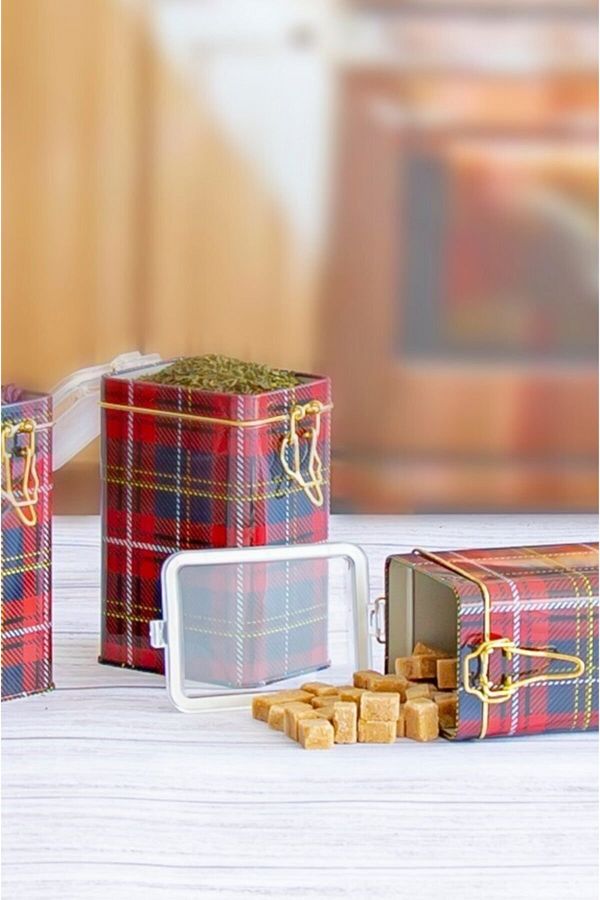 EVLE-Ef043-ı3 Plaid(EKOSE) Patterned Rectangular Metal Storage Container 8x10 Cm 1