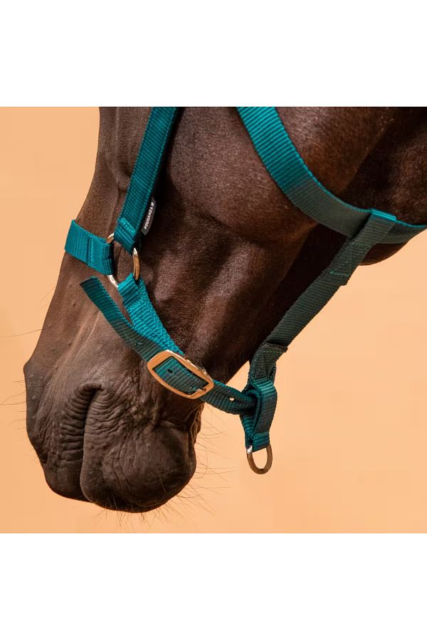 Decathlon Schooling Halter Pony and Horse Size Boots PS 2 CS 3 FS 4 Trendyol
