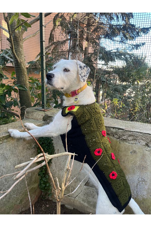 Noisy Paws Wearable Dog Blanket Poppy Garden Trendyol