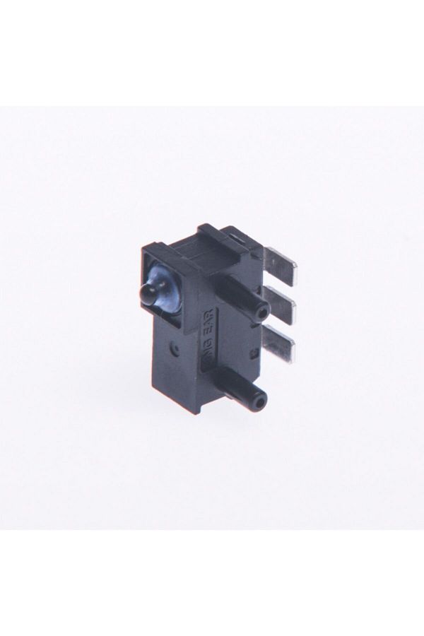 ALPHA AUTO PART-Waterproof Micro Switch 1