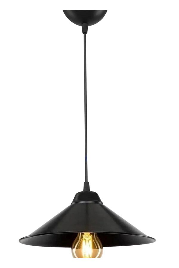 EAE lighting-Siva Single Pendant Chandelier with Crest 1