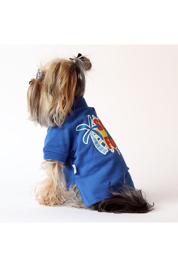 Lacoste dog clothes discount