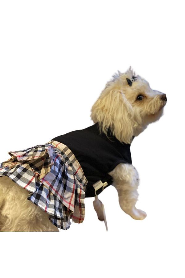 Burberry dog dress clearance