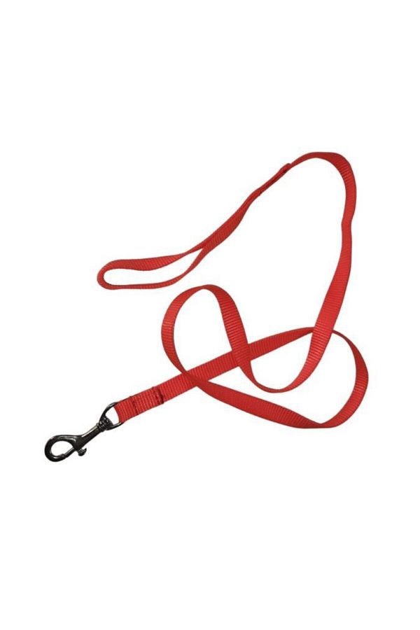 Lovely-Cat Dog Ribbon Walking Strap Orange 1.5cm - 120cm 1