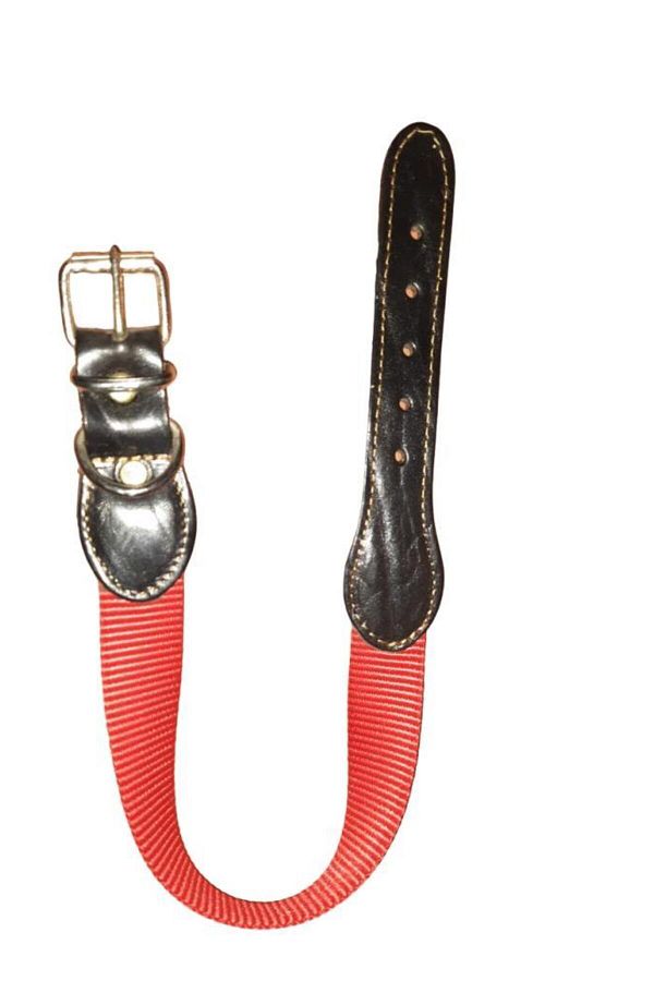 Lovely-Dog Neck Leash 2.5cm-56cm RED 1