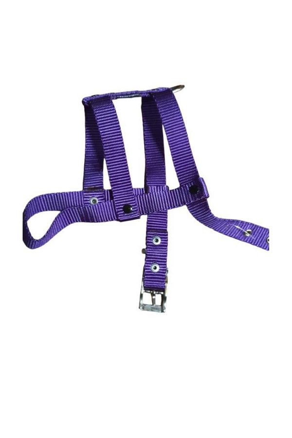 Lovely-Adjustable Dog Breast Collar 2cm 5-17 Kg Range PURPLE for Dogs 1
