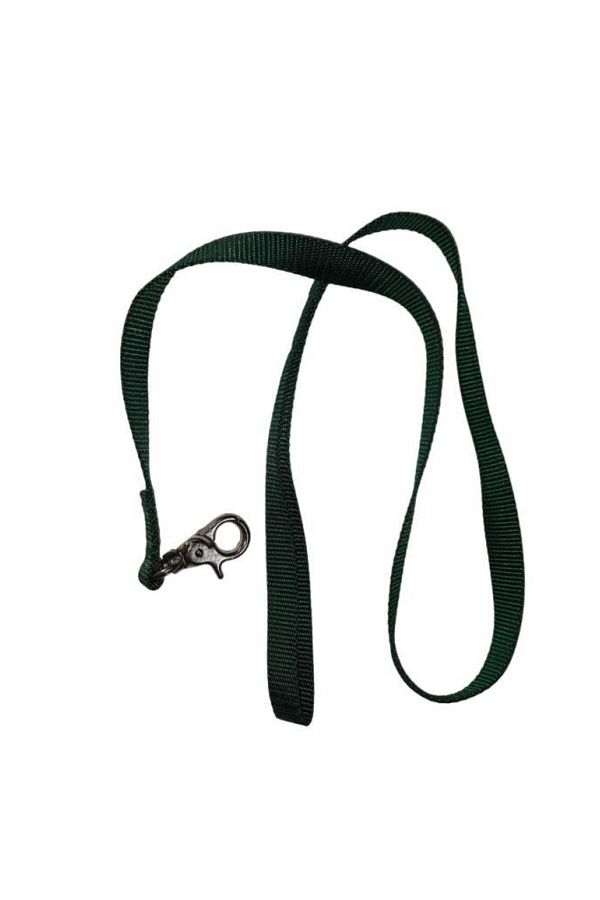 Lovely-Cat Dog Ribbon Walking Strap Green 1.5cm - 120cm 1