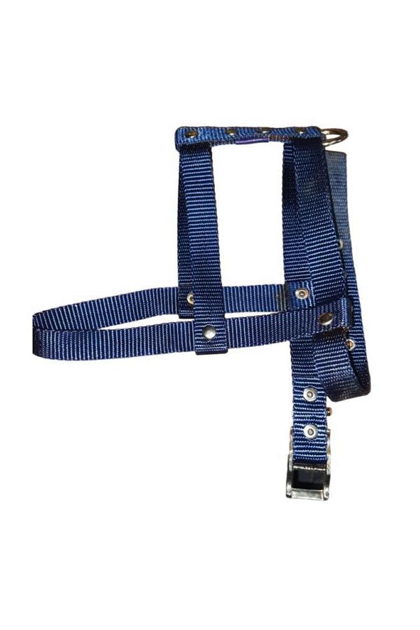 Lovely-Adjustable Dog Breast Collar 2cm 5-17 Kg for Dogs NAVY 1