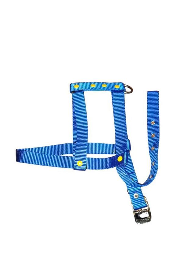 Lovely-Adjustable Dog Breast Collar 2cm 5-17 Kg for Dogs BLUE 1
