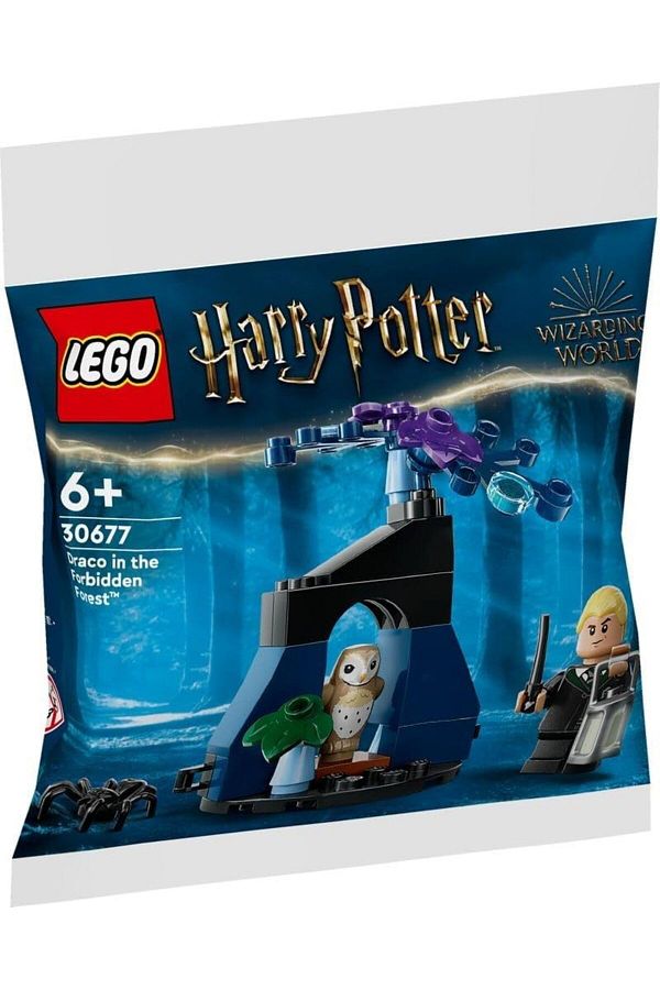 LEGO-30677 - Draco in the Forbidden Forest 1