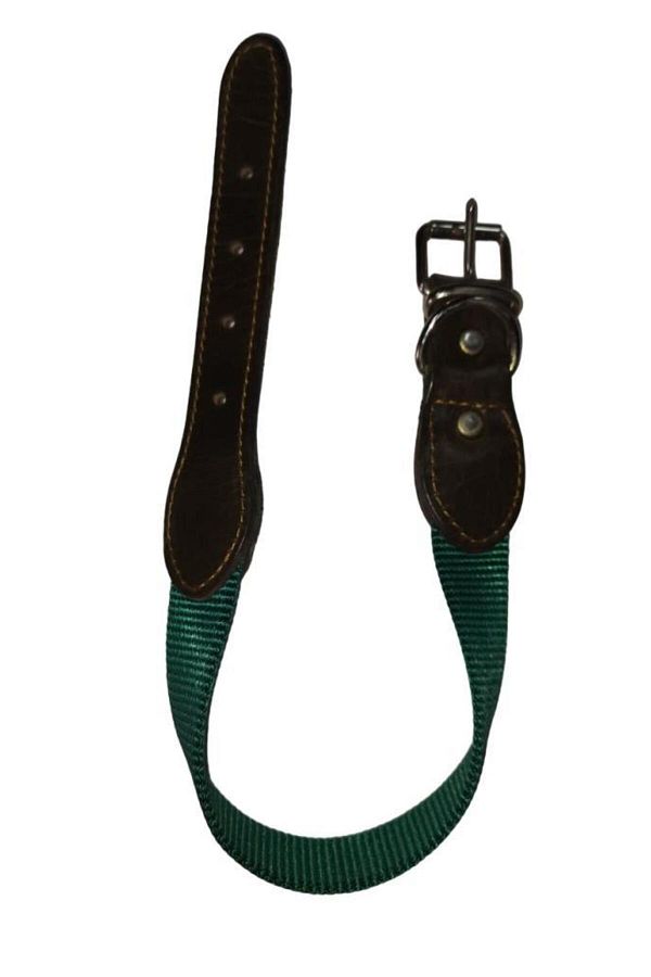 Lovely-Dog Neck Leash 2.5cm-56cm GREEN 1