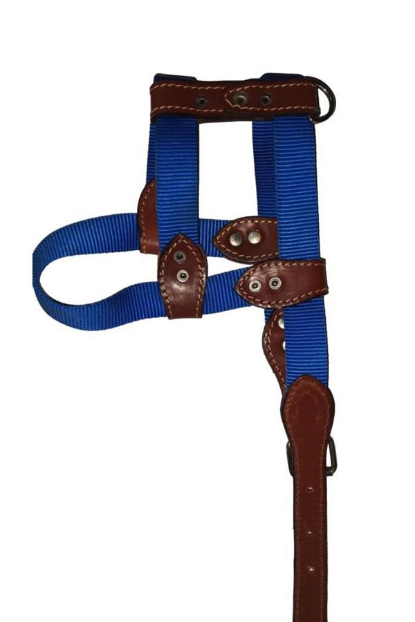 Lovely-Adjustable Dog Breast Collar 2.5cm BLUE for Dogs in the Range of 10-20 Kg 1