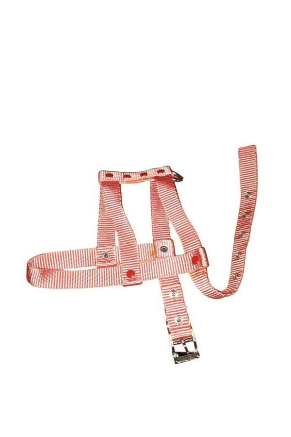 Lovely-Adjustable Dog Breast Collar 2cm 5-17 Kg SALMON for Dogs 1
