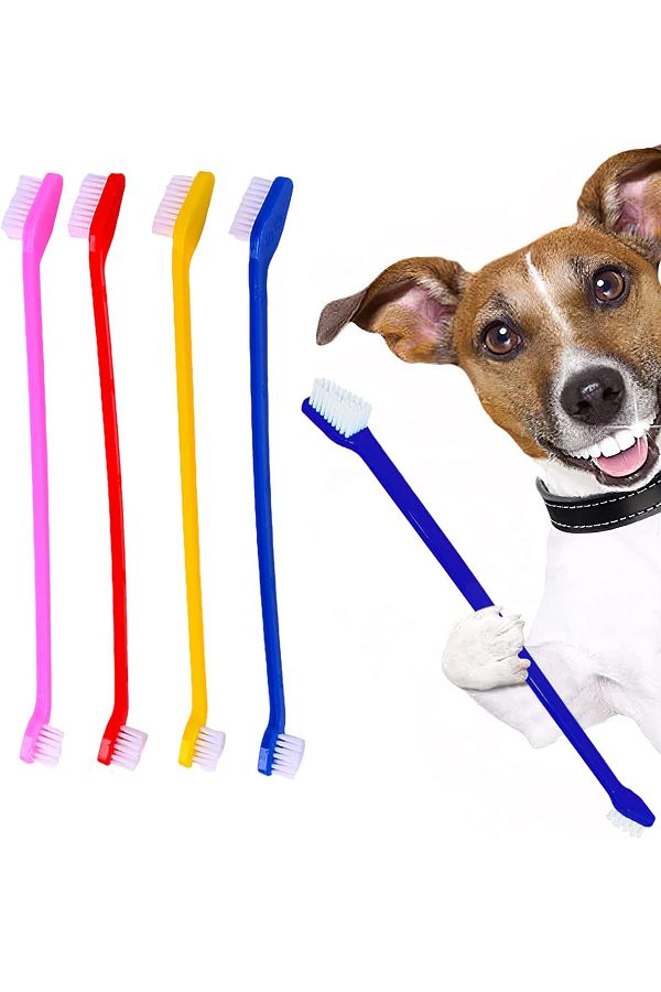 Factorial 4 Pieces Double Sided Small Breed Dog Toothbrush Food Container for Pet Tooth Health and Oral Cleaning Trendyol