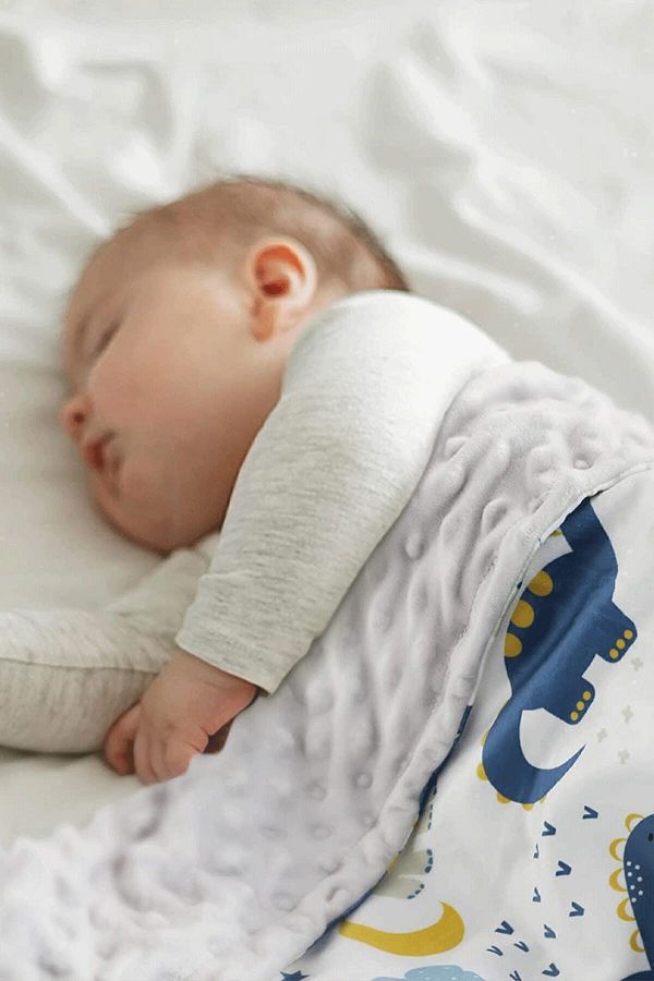 Chickpea dinosaur blanket 2025