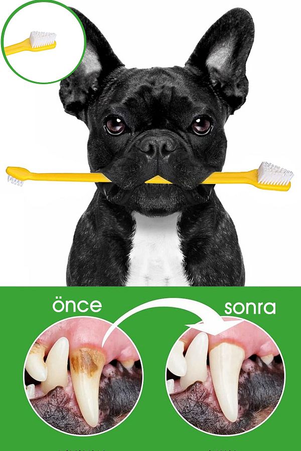 Factorial 4 Pieces Double Sided Small Breed Dog Toothbrush Food Container for Pet Tooth Health and Oral Cleaning Trendyol