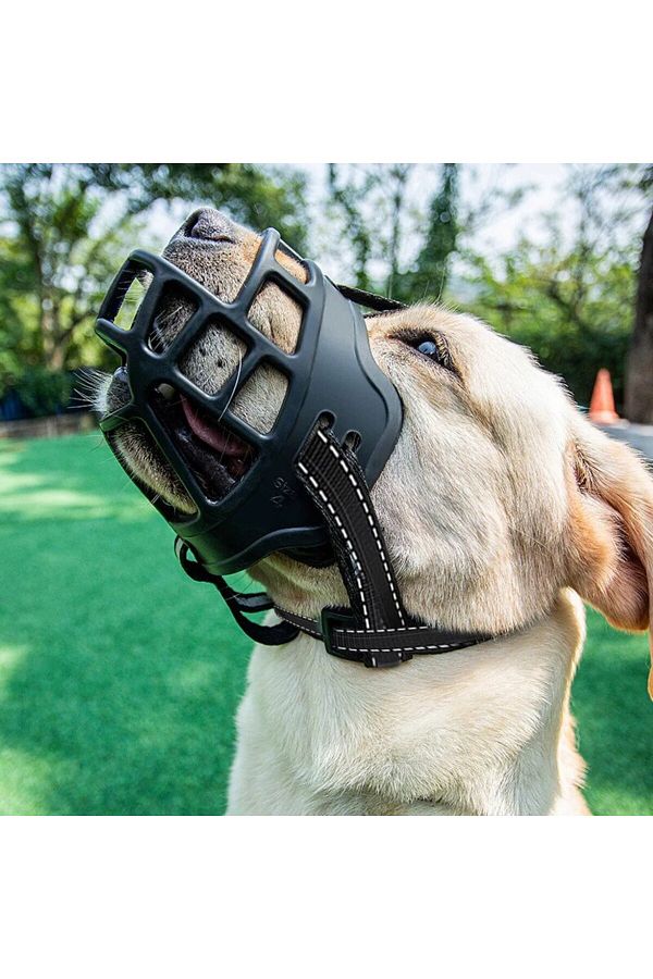 Quick release dog muzzle top