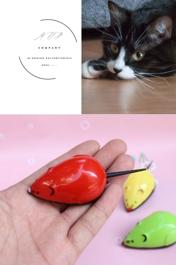 Modo Di Bellezza-Pull Cat Toy Drop Shape Colorful Mouse 1