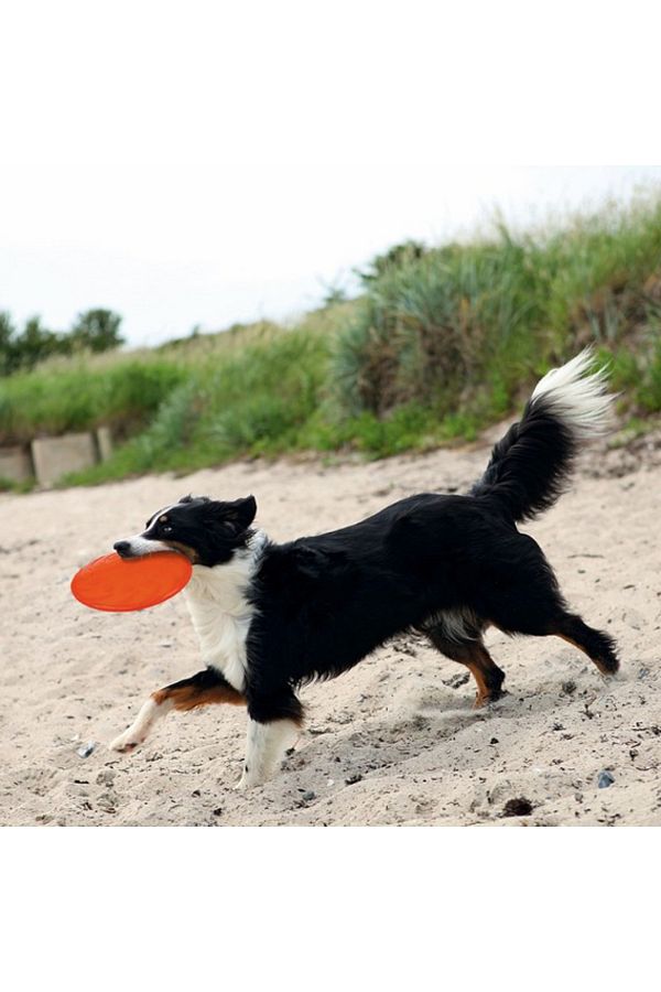 Trixie frisbee new arrivals