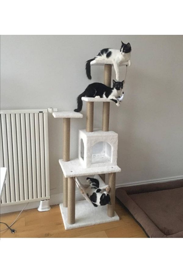 pethomealpi-Cat Scratching House and Play Platform 100% Warranty CUSTOMER MEMORY 1