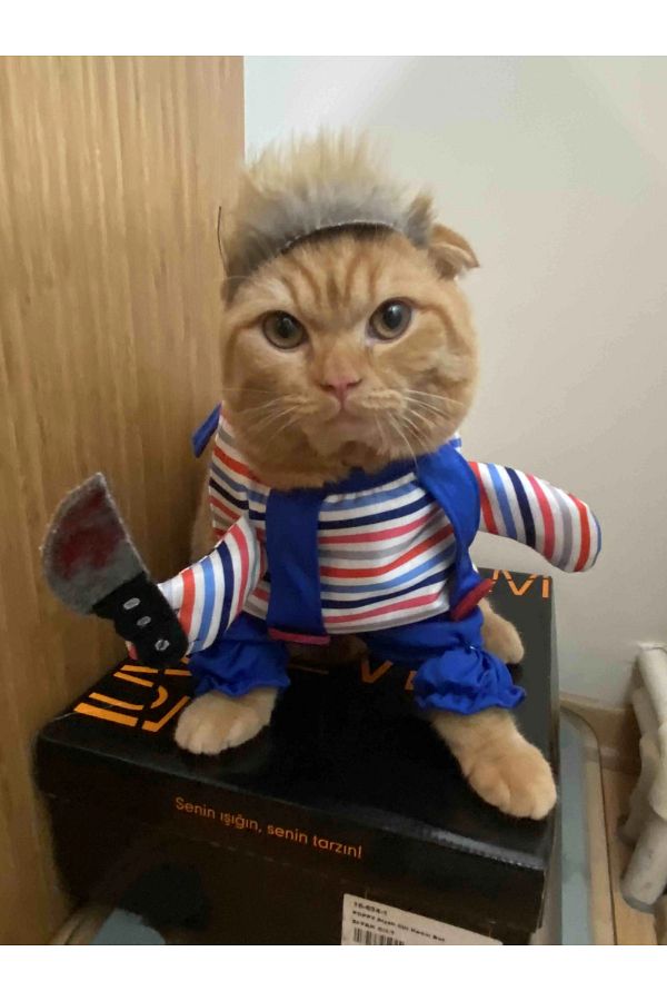 Sosyal Patiler Killer Baby Chucky 4 6 KG Cat Costume S Trendyol