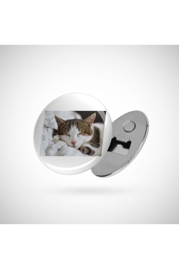 Fizello-Cat Sleeping With A Blanket Opener 1