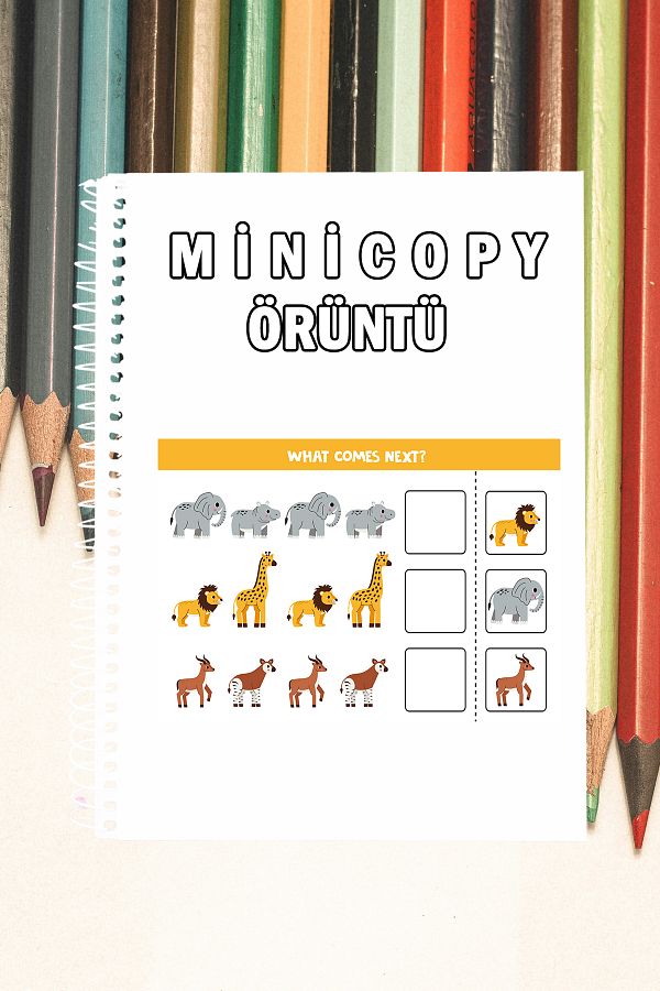 Minicopy-Preschool Themed - Sample, Activity and Coloring Notebook (Black/White, 20 Number) 1
