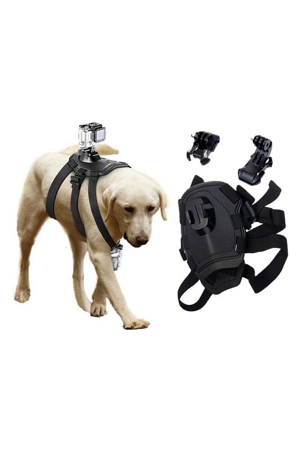 Gopro for dog collar online