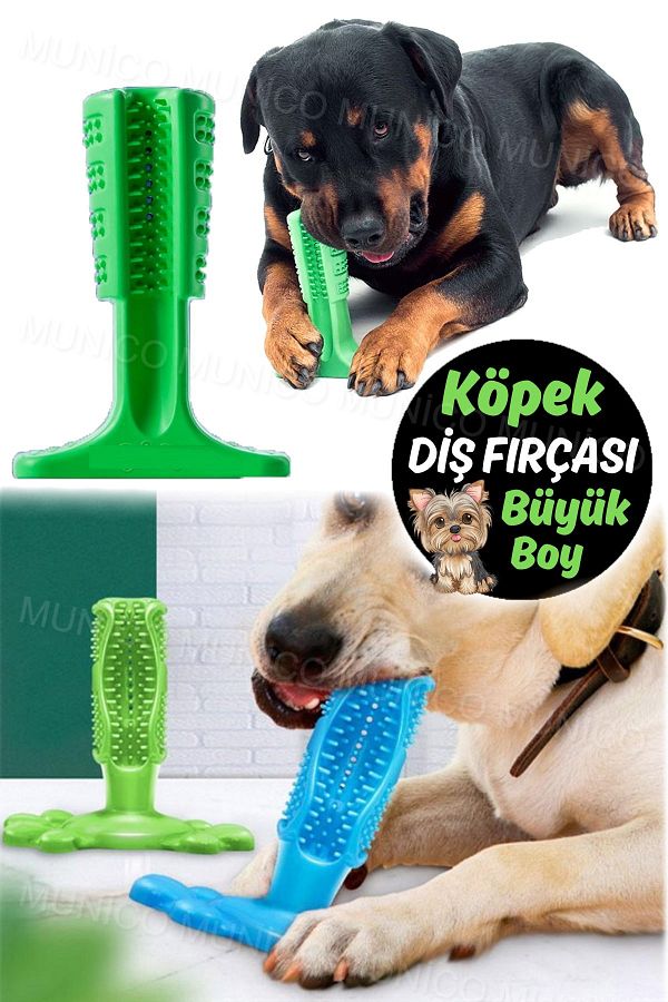 Standing dog toothbrush outlet