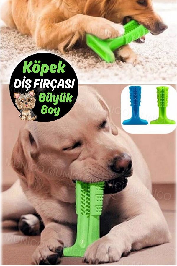 Munico Dog Toothbrush Biting Apparatus with Fixed Standing Teeth Scratching Toy Base Special for Large Size Dogs Trendyol