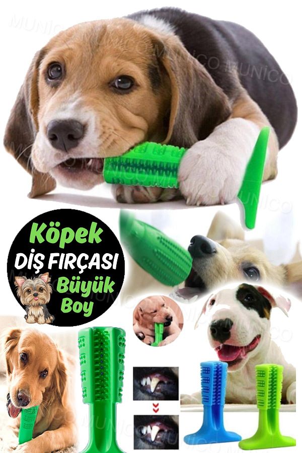 Munico Dog Toothbrush Biting Apparatus with Fixed Standing Teeth Scratching Toy Base Special for Large Size Dogs Trendyol