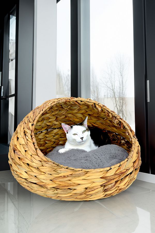 Digithome-Wicker Cat and Dog Bed with Inner Cushion 48 Cm Brown - CL-4034 C1-1-121 1