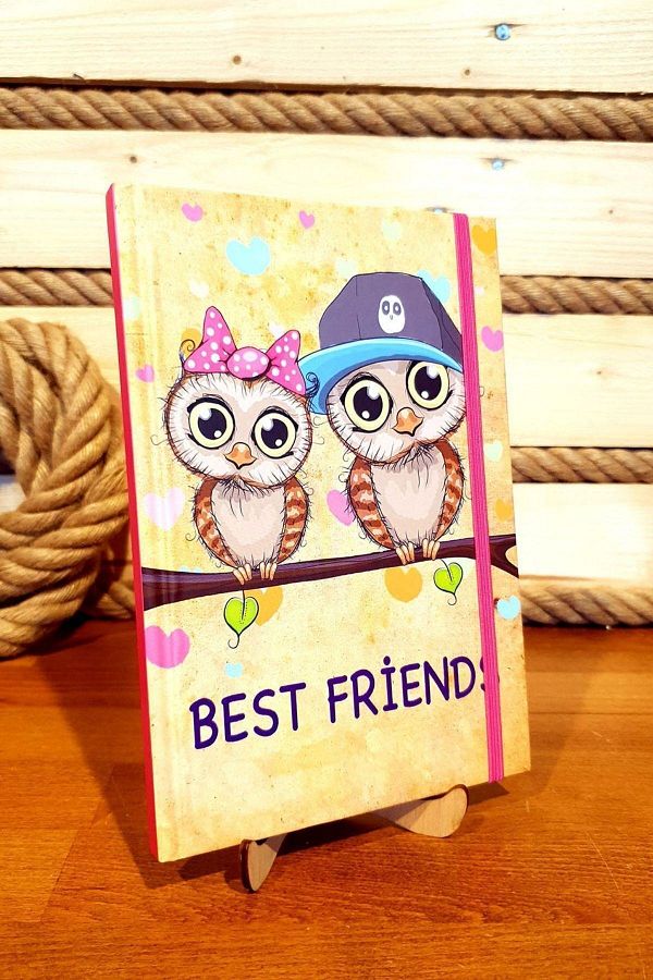 HARİ DARSHAN-Best Friends Owl Design Notebook 1