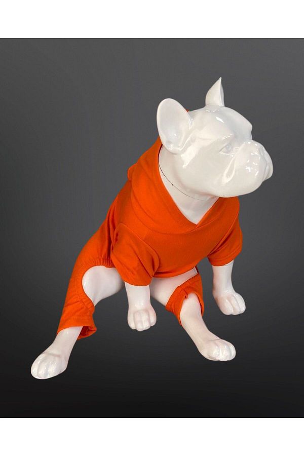 Buddy Store Cat Dog Jumpsuit Pajama Series Adidog Printed Orange Jumpsuit Trendyol