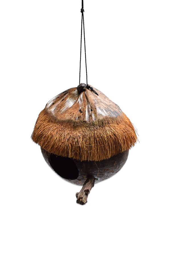 Hedicaret-Natural Coconut with Bird's Nest Hanger 1