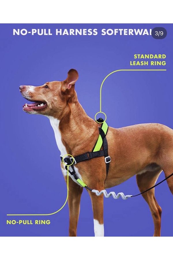 Zee.Dog Zee.DogNOX Softer Walk Chest Collar Trendyol