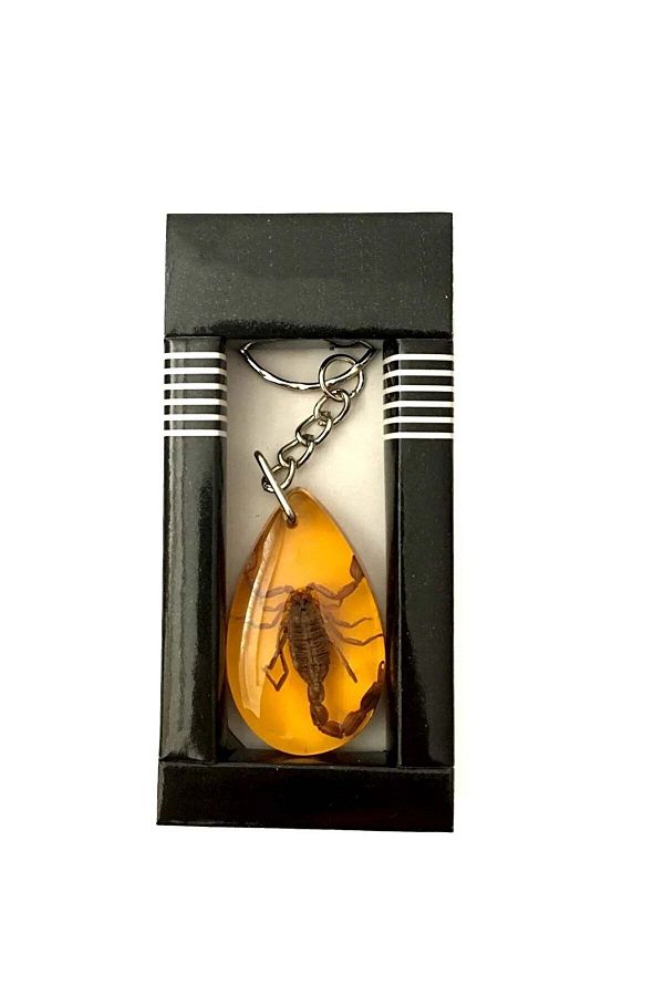 hankara-Scorpion Fossil Keychain 1