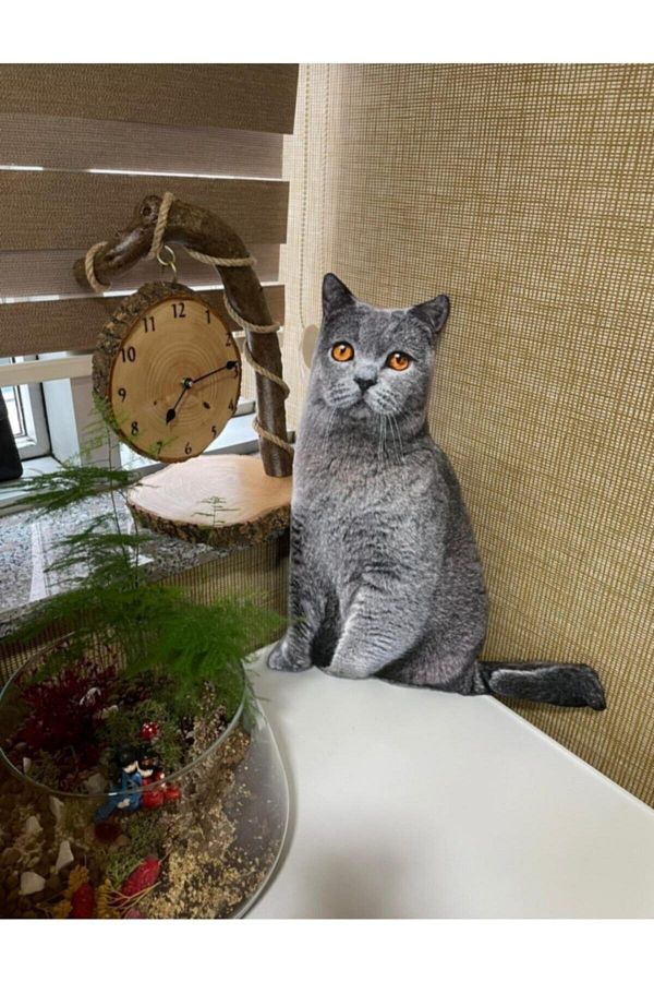 3d cat pillow clearance