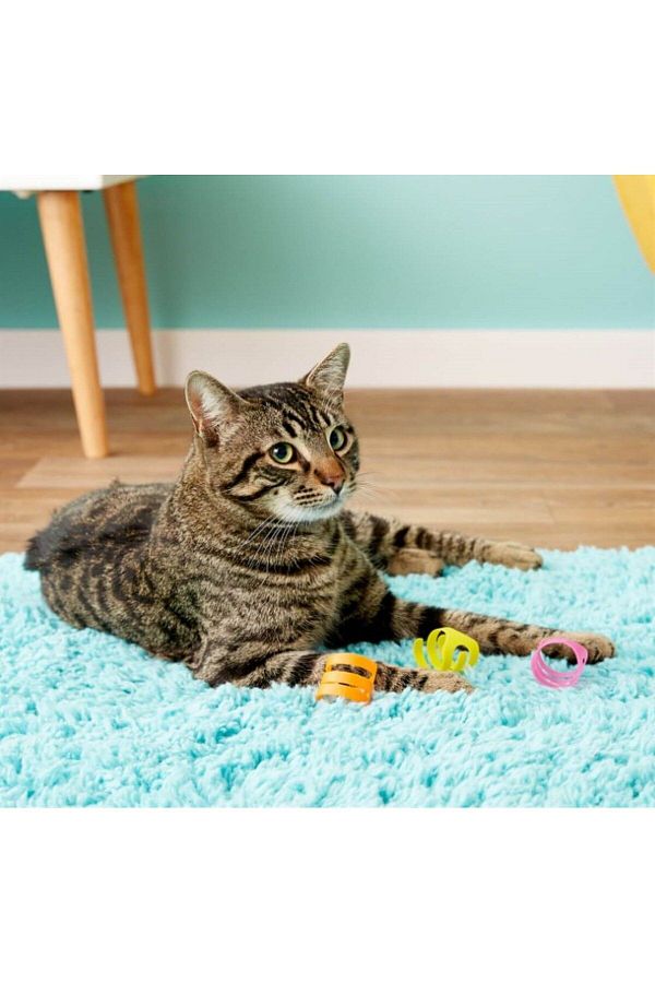Looney loops cat toy discount