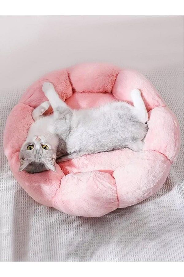Kong cat bed store