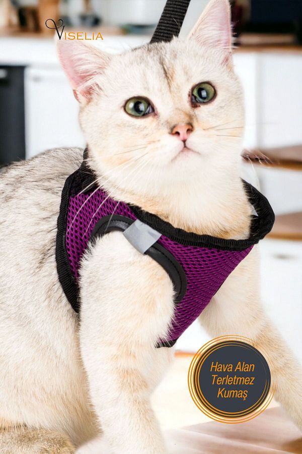 Viselia Cat Collar Chest Neck Collar with Dispatch Strap Anti Sweat Breathable Fabric Reflective Purple Size M Trendyol
