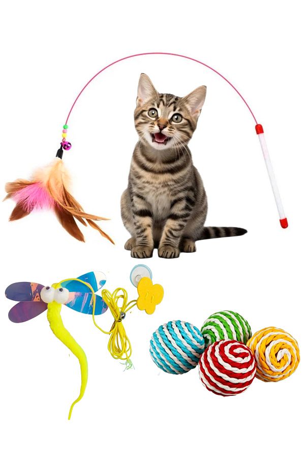 Fishing cat toy top