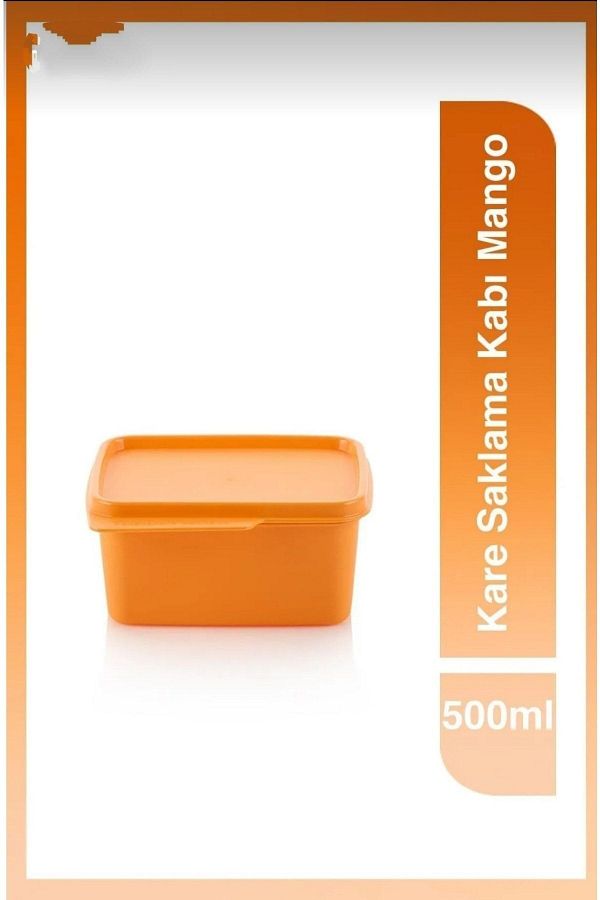 Tupperware-Square Storage 500ml Mango storage container 1