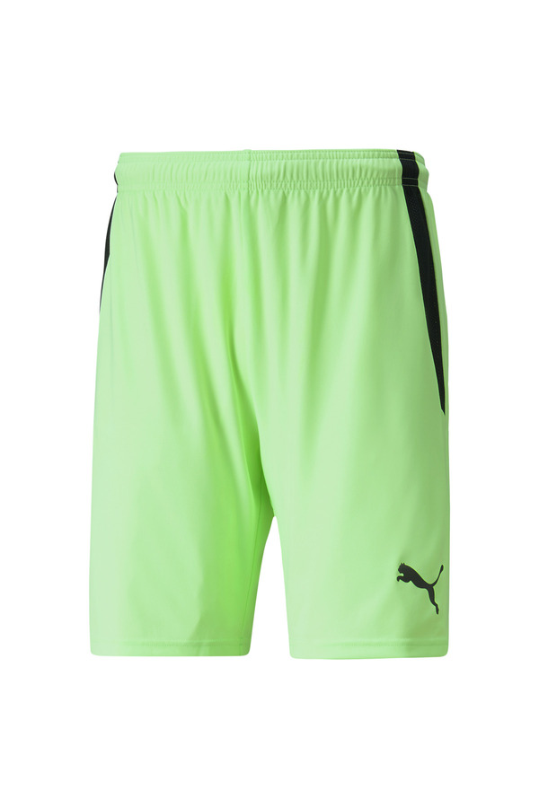 Puma Teamliga Shorts Men's Football Shorts70492420 Green- Trendyol