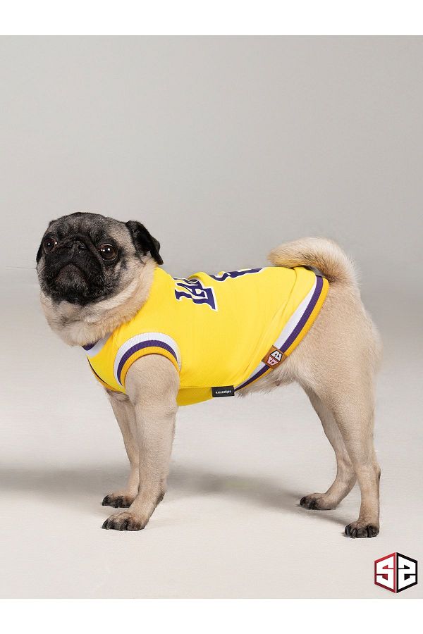 Lakers dog shirt hot sale