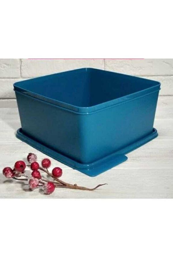 Tupperware-Colorful Rectangular 2.5 Liter Blue Storage Container 1