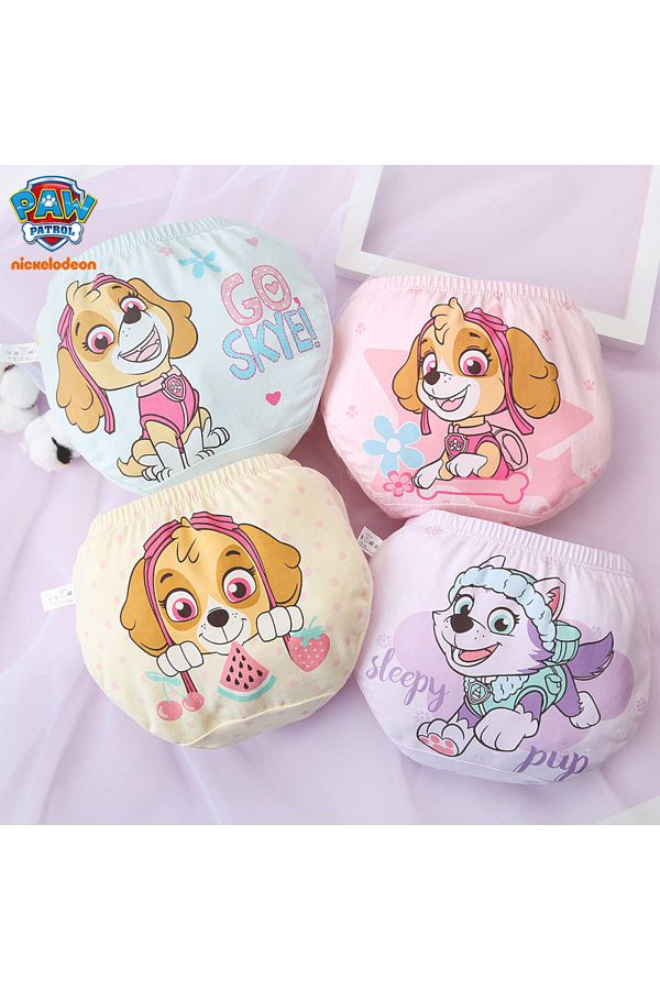 Paw patrol skye everest set online