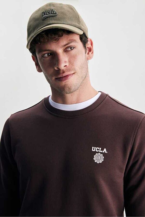 Ucla VALLEY Brown Crew Neck Printed Standard Fit Men's Sweatshirt