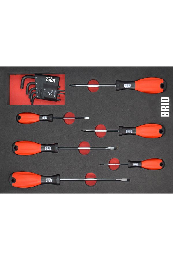 BRIO-Screwdriver Flat-Star Set and Allen Torx Set with 13 Pieces Sponge Mattress (TORQUE ALYAN SET) 1