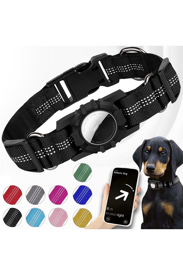 Dog collar with integrated tag top